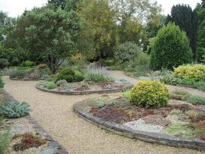 The Beth Chatto Gardens - Scree Garden