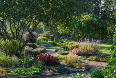 The Beth Chatto Gardens - Scree Garden